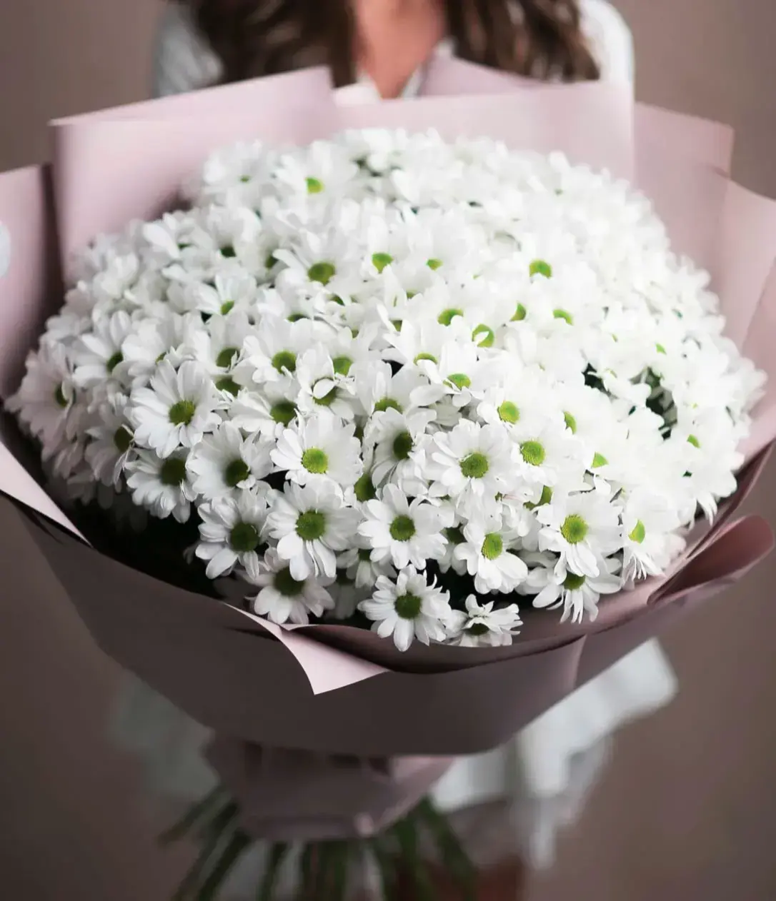 25 Белых кустовых хризантем