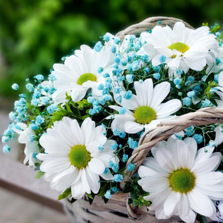 Букет_Аромат лета