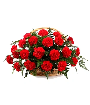 20 гвоздик в корзине 20 гвоздик в корзине