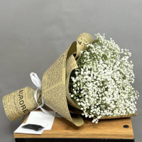 25 белых гипсофил в крафте 25 белых гипсофил в крафте