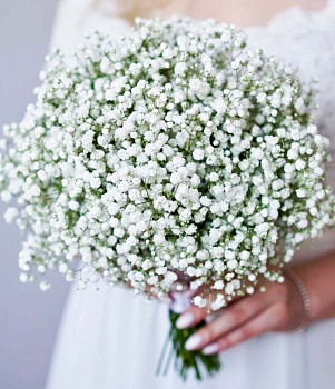 Облако (свадебный) Облако (свадебный)