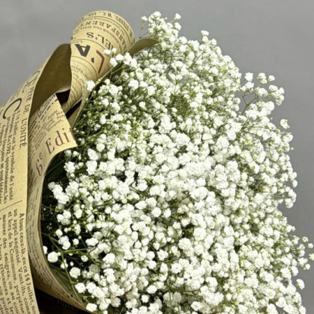 Букет_25 белых гипсофил в крафте Букет_25 белых гипсофил в крафте