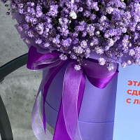 Букет_Фиолетовые гипсофилы в коробке Букет_Фиолетовые гипсофилы в коробке
