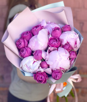 Розовая мания Розовая мания