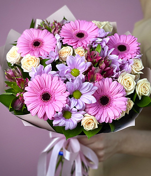 Нежная сирена (Стандартный) Нежная сирена (Стандартный)