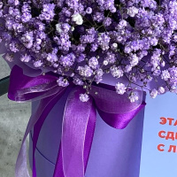 Букет_Фиолетовые гипсофилы в коробке Букет_Фиолетовые гипсофилы в коробке