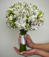 Пелагея (свадебный) Пелагея (свадебный)