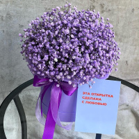 Фиолетовые гипсофилы в коробке Фиолетовые гипсофилы в коробке