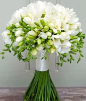 51 белых фрезий (свадебный) 51 белых фрезий (свадебный)