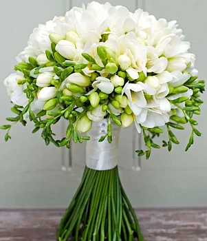51 белых фрезий (свадебный) 51 белых фрезий (свадебный)